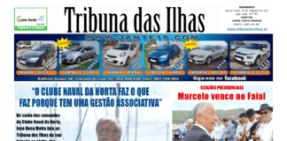 Capa da edição n.º 962 de 29 janeiro 2021 TI