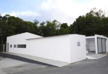 Campanha de esterilização gratuita de animais de companhia de Lagoa e Nordeste abrangeu 478 animais DR/CML