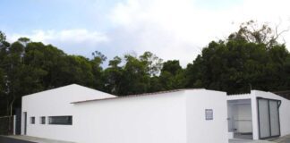 Campanha de esterilização gratuita de animais de companhia de Lagoa e Nordeste abrangeu 478 animais DR/CML