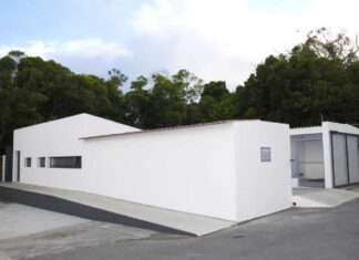 Campanha de esterilização gratuita de animais de companhia de Lagoa e Nordeste abrangeu 478 animais DR/CML