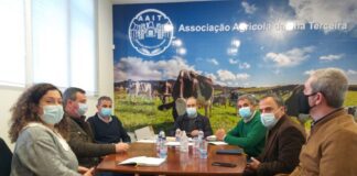 Terceira – Deputados do PSD atentos às dificuldades dos produtores de leite DR/PSD