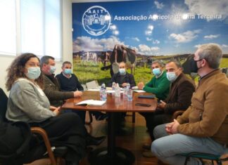 Terceira – Deputados do PSD atentos às dificuldades dos produtores de leite DR/PSD