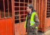 PAN/Açores questiona Governo sobre condições de transporte de animais vivos do navio Malena Deputado Pedro Neves - Porto Comercial de Ponta Delgada