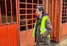 PAN/Açores questiona Governo sobre condições de transporte de animais vivos do navio Malena Deputado Pedro Neves - Porto Comercial de Ponta Delgada