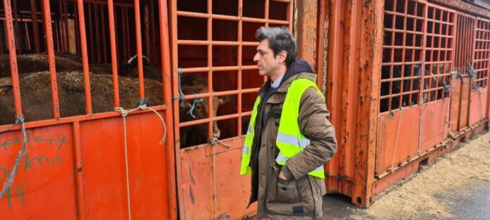 DR/PAN-Açores Deputado Pedro Neves - Porto Comercial de Ponta Delgada