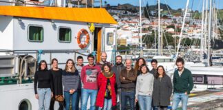Descobertas quatro novas espécies de mar profundo nos Açores DR/Alex Ingle.