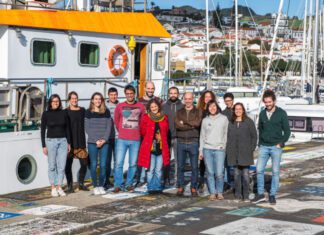 Descobertas quatro novas espécies de mar profundo nos Açores DR/Alex Ingle.