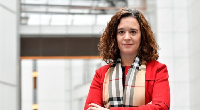 Sofia Ribeiro anuncia reunião com escolas para consolidar desburocratização do ensino DR