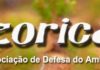 José Leal é o novo presidente da Azorica DR