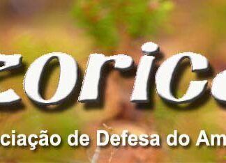 José Leal é o novo presidente da Azorica DR