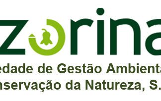 SINTAP pede audição e participação no processo de extinção AZORINA S.A. DR
