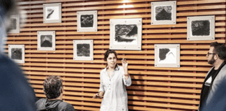7.ª edição do Festival Montanha arranca com artista faialense DR/MIRATECARTS