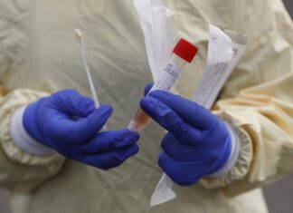 Governo dos Açores determina testagem massiva em Vila Franca do Campo e em Rabo de Peixe DR