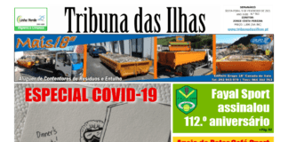 Capa da edição n.º 963 de 5 fevereiro 2021 TI