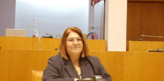 Luta pela eliminação da violência contra as mulheres com voto de congratulação aprovado DR/BE
