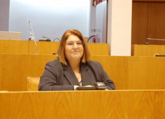 Luta pela eliminação da violência contra as mulheres com voto de congratulação aprovado DR/BE