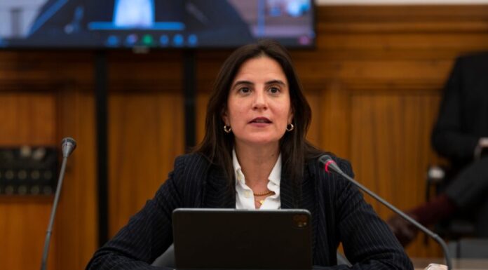 Ambicioso Plano Plurianual do Turismo tem de abranger os Açores, defende Lara Martinho DR/PS