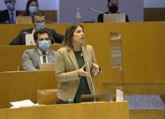 CDS-PP subscreve projeto conjunto de Regime dos Requerimentos Parlamentares DR