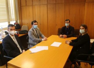 CDS-PP Açores defende incentivos à mobilidade no arquipélago DR