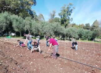 “Diversificação agroprodutiva nos Açores assume um papel importante para conhecer e elaborar estratégias de ação”, defende António Ventura DR