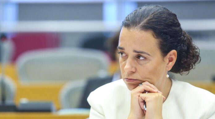 Corta-Mato escolar nos Açores com maior número de participantes de sempre, valoriza Sofia Ribeiro DR