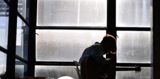Proposta do PS/Açores garante apoios para os agentes culturais prejudicados pela pandemia DR
