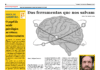 Psicólogos nos Açores TI