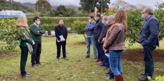 Governo dos Açores dará “um forte impulso à apicultura nos Açores”, anuncia António Ventura DR