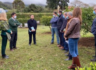 Governo dos Açores dará “um forte impulso à apicultura nos Açores”, anuncia António Ventura DR