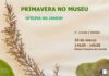 Museu Francisco de Lacerda promove oficina “Primavera no Jardim” DR/AC