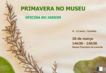 Museu Francisco de Lacerda promove oficina “Primavera no Jardim” DR/AC