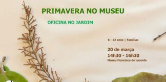 Museu Francisco de Lacerda promove oficina “Primavera no Jardim” DR/AC
