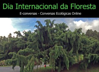 “As Árvores nos Açores – Entre o Ódio e o Amor” DR