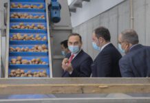 Governo dos Açores apela ao consumo de produtos agroalimentares regionais DR
