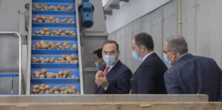 Governo dos Açores apela ao consumo de produtos agroalimentares regionais DR