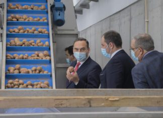 Governo dos Açores apela ao consumo de produtos agroalimentares regionais DR