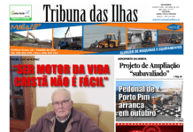 Capa da edição n.º 971 de 01 Abril 2021 TI