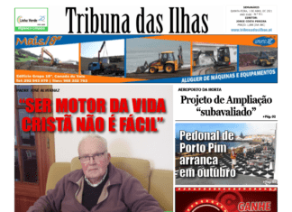 Capa da edição n.º 971 de 01 Abril 2021 TI