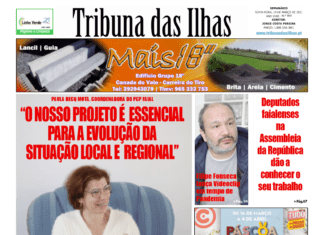 Capa da edição n.º 969 de19 março 2021 TI