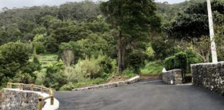 Conclusão dos Trabalhos na Canada da Bica/ Urzelina DR