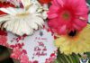 Informação Semanal- Município das velas DR