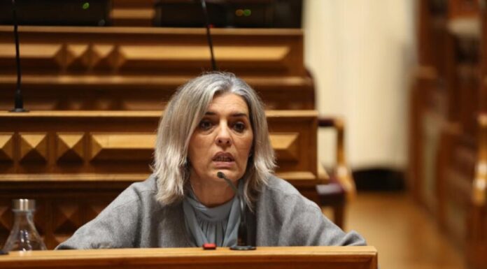 Isabel Rodrigues alerta necessidade de intervenção nos serviços da Justiça DR