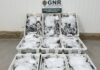 – Apreensão de 120 quilos de pescado por fuga à lota DR/GNR