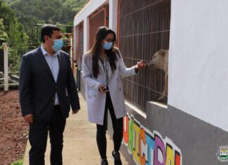 Câmara de São Roque do Pico melhora condições do Canil Municipal DR/CMSRP