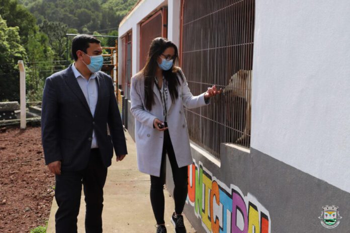 DR/CMSRP DR/CMSRP