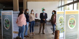 Dia Mundial Da Árvore Assinalado Com Inauguração De Exposição Sobre Plantas Endémicas Dos Açores DR