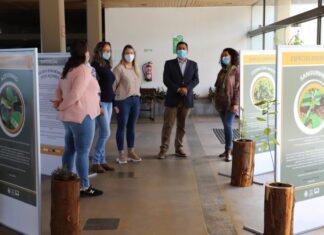 Dia Mundial Da Árvore Assinalado Com Inauguração De Exposição Sobre Plantas Endémicas Dos Açores DR