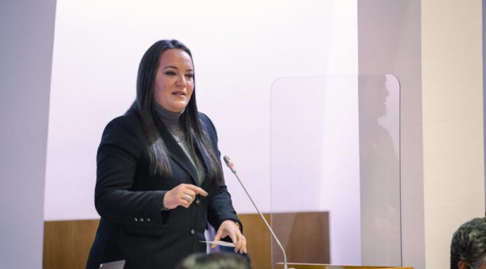 Empresas públicas. Governo salvaguarda direitos dos trabalhadores nos processos de extinção DR/PSD