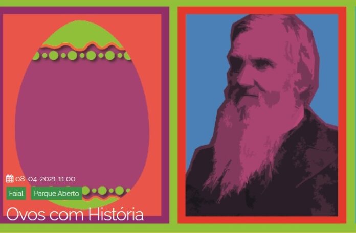 Ovos com História