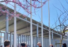 A Câmara Municipal da Horta congratulou toda a comunidade escolar da EB 1,2/EA/JI António José de Ávila pelo hastear da bandeira Eco-Escolas. DR